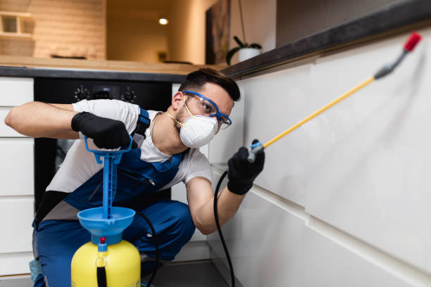 Best Bed Bug Extermination  in Sweeny, TX