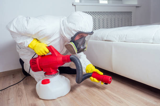 Trusted Sweeny, TX Pest Control Experts