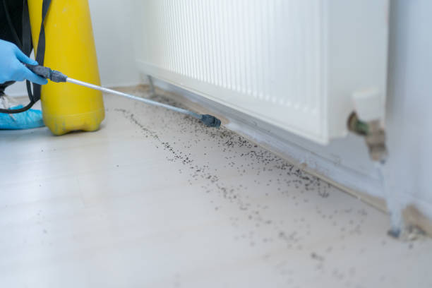 Best Pest Inspection Near Me  in Sweeny, TX