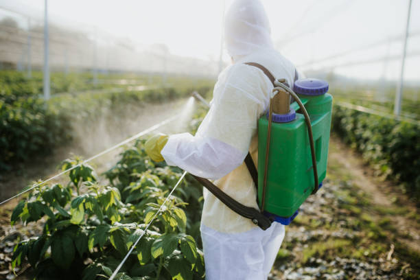 Best Exterminator Services  in Sweeny, TX